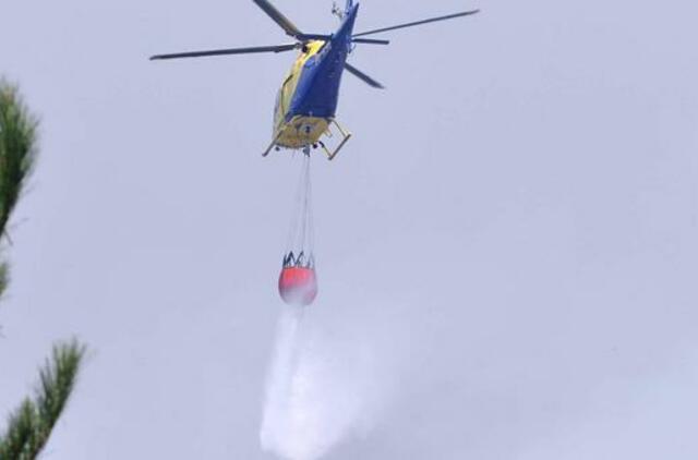 Čilėje plinta miškų gaisrai