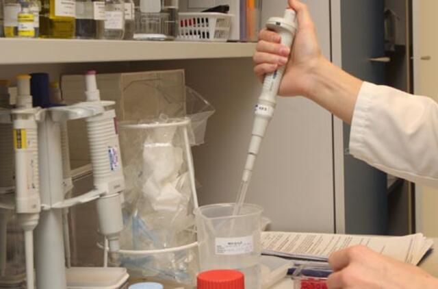 Kraujagysles gamins laboratorijoje?