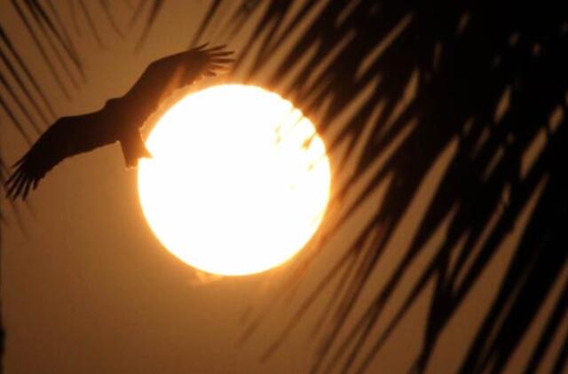 Pakistane rasta 10 karių palaikų be galvų