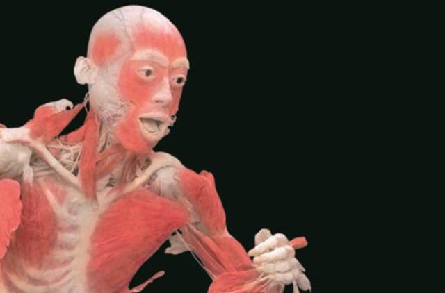 Pirmą kartą Lietuvoje - populiariausia paroda pasaulyje "The Human Body Exhibition"