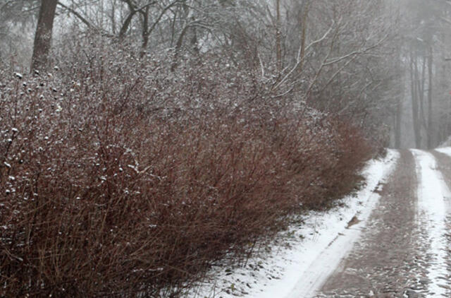 Sausio 13-oji: vardadieniai, dangaus kūnai, istorija