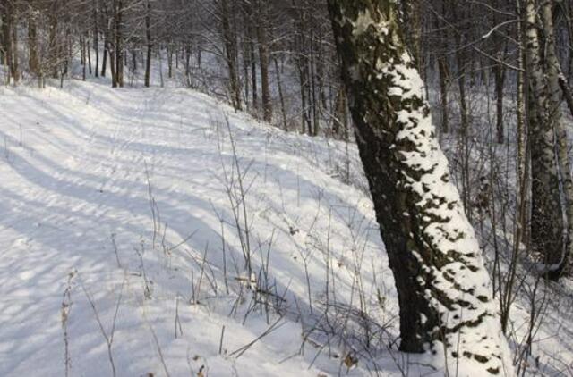 Sausio 26-oji: vardadieniai, dangaus kūnai, istorija