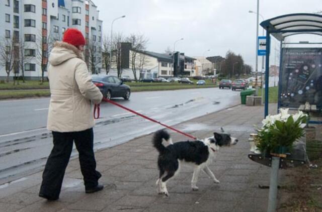 Siūloma leisti savivaldybėms nustatyti gyvūnų vežimo tvarką vietos autobusais