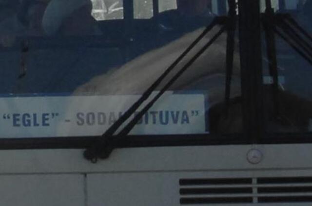 Iš Dituvos - lediniame autobuse