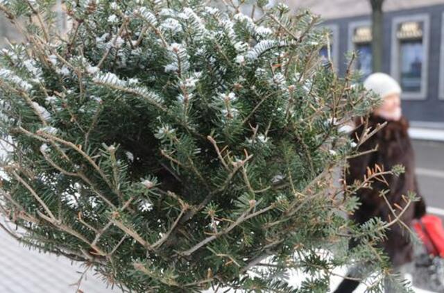 Klaipėda: VE.lt pristato vasario 8-osios įvykius