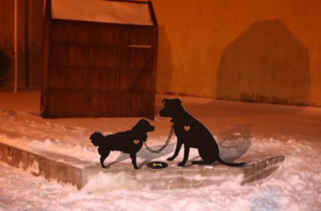 Klaipėdos senamiestyje - šuniukų meilės istorija
