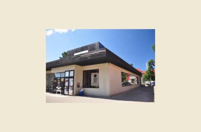 Reprezentacinio Nidos pastato rekonstrukcijai - 28 projektai