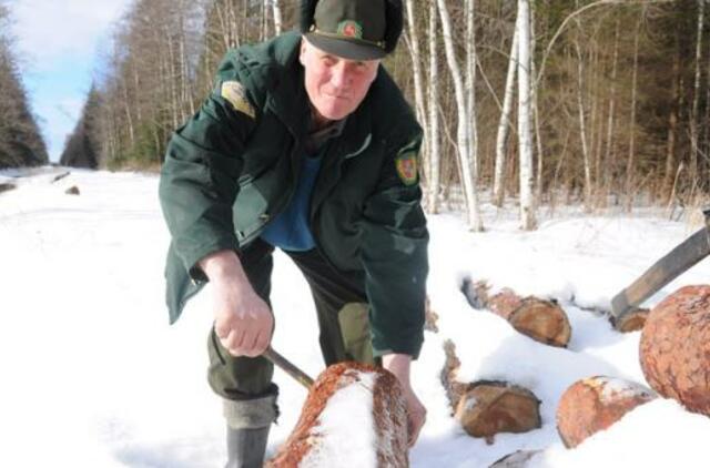 Sakūčiai: bitės medų neša iš miško