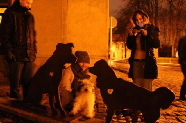 Šuniukų meilės istorija klaipėdiečių nesudomino