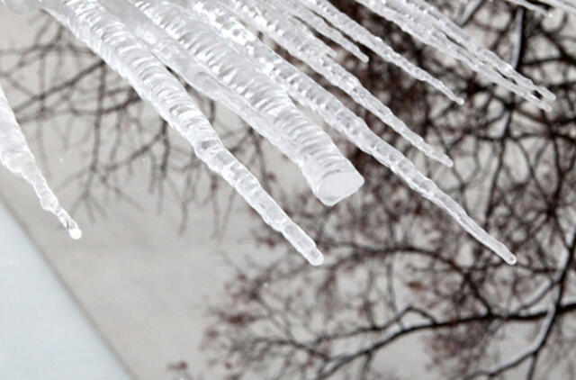 Ukrainoje speigas pasiglemžė jau 43 gyvybes