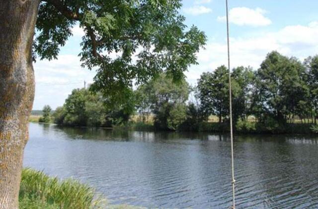 Už medžius prie Minijos - pusė milijono litų