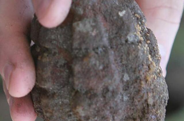 Vyro namuose rasta sprogmenų