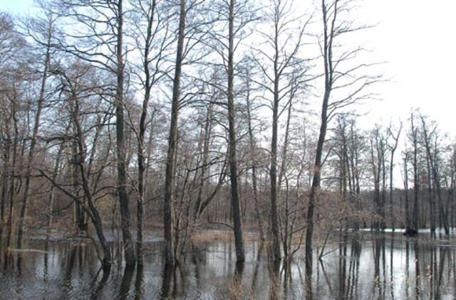 14-metė estė, pabėgusi iš sustiprinto režimo mokyklos Taline, atsidūrė Lietuvoje