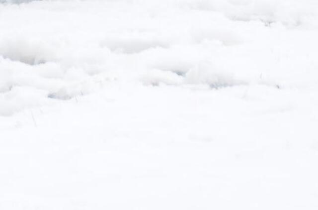 Afganistane sniego lavina palaidojo visą kaimą, žuvo mažiausiai 47 žmonės