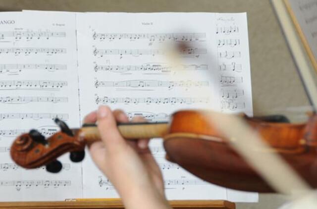 Japonijos mokslininkas iš vorų šilko pagamino smuiko stygas