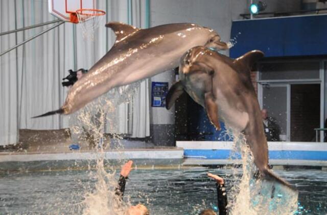 Jūrų muziejus prašo lengvatų lankytojams iš Neringos