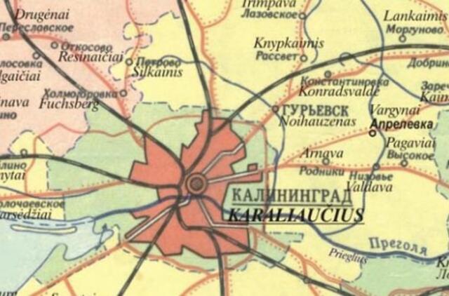 Karaliaučiaus srityje sulaikytas rusų aktyvistas, prašęsis politinio prieglobsčio Lietuvoje