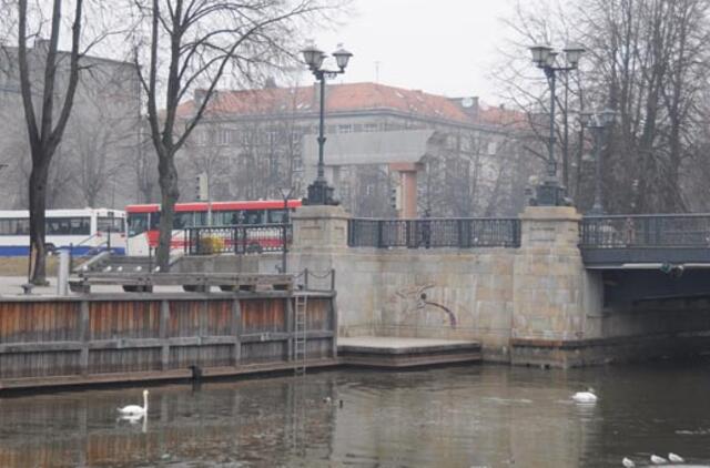 Klaipėda: VE.lt pristato kovo 10-osios įvykius