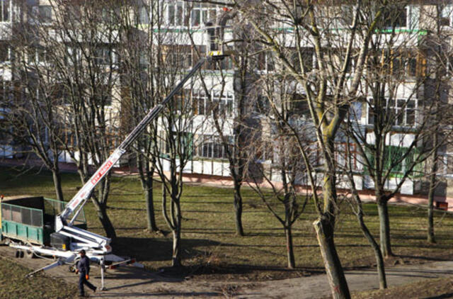 Klaipėda: VE.lt pristato kovo 20-osios renginius