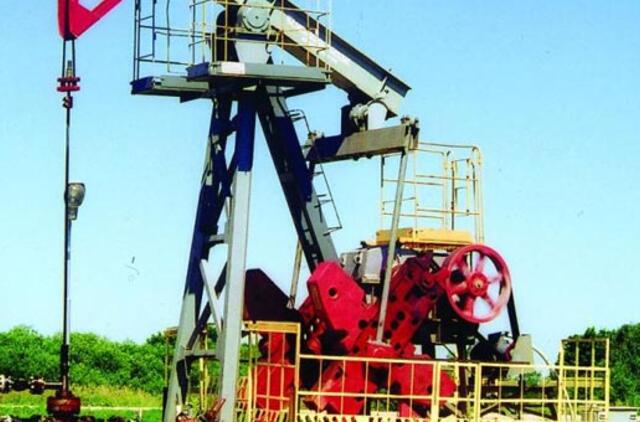 Klaipėdos rajone atrastas naujas naftos telkinys