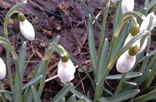 Kovo 23-oji: vardadieniai, dangaus kūnai, istorija