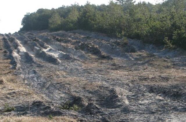 Nerijos didįjį kopagūbrį išdarkė sunkvežimiai