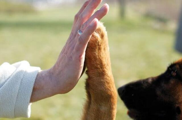 Prancūzijoje korporacijos nubaustos milijoninėmis baudomis