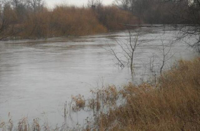 Žvejų kamikadzių pavasaris