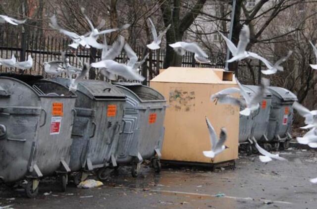 Dalia Grybauskaitė: šilumos ūkio scenarijus gali pasikartoti atliekų sektoriuje