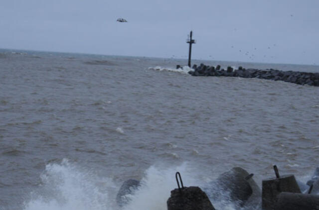 Klaipėda: VE.lt pristato balandžio 2-osios renginius