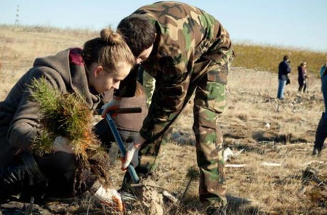 Kuršių nerijos parke jaunuoliai sodino medelius