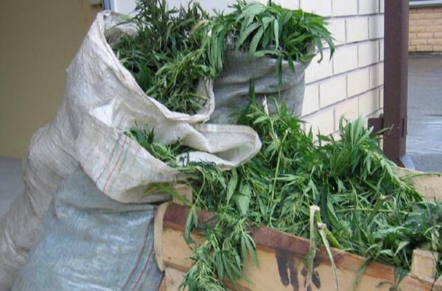 Nyderlanduose bus uždrausta pardavinėti kanapes užsieniečiams