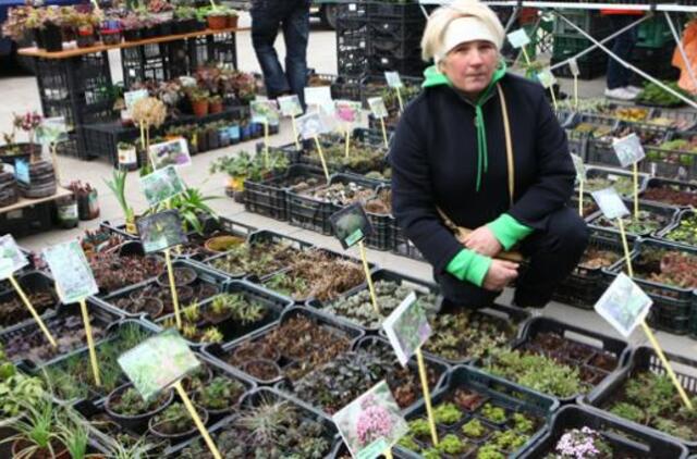 Šventė, kurią galima išsinešti su savimi