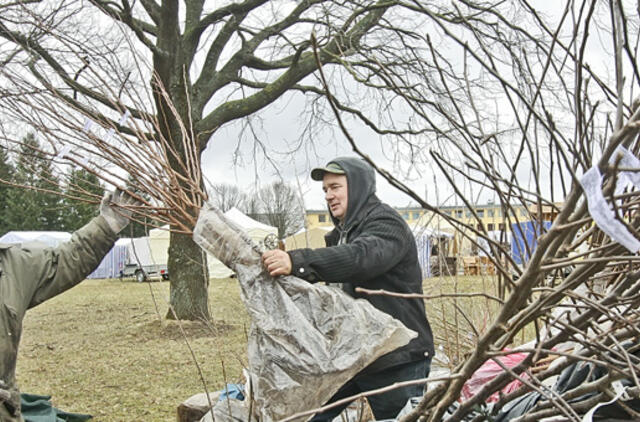 Žemės klimatas keitėsi visada