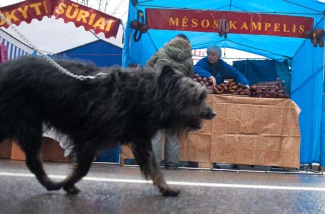 Žmogaus kūno kalba gali suklaidinti šunis