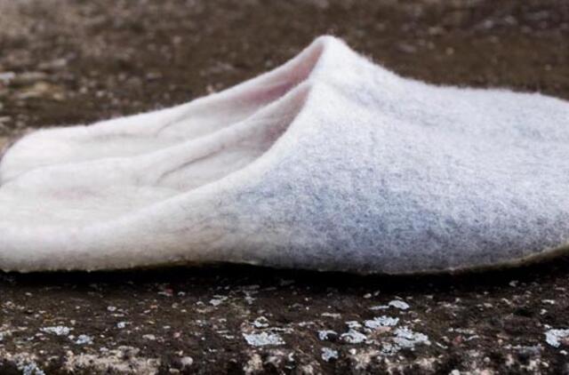 Atšilus orams - šlepetėmis avinčių vairuotojų avarijos