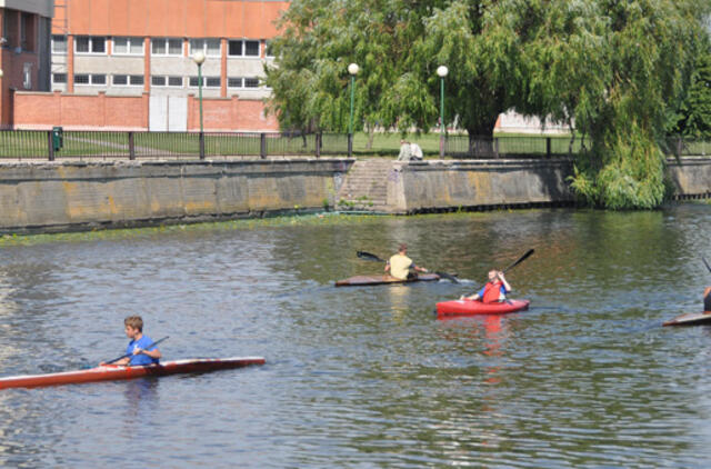 Danės upėje padaugėjo žuvies