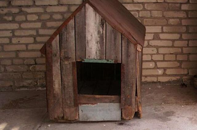 Kretingiškis bute surengė egzekuciją šuniui