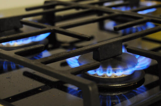 Premjeras: už importuojamų dujų kainą yra atsakingos "Lietuvos dujos"