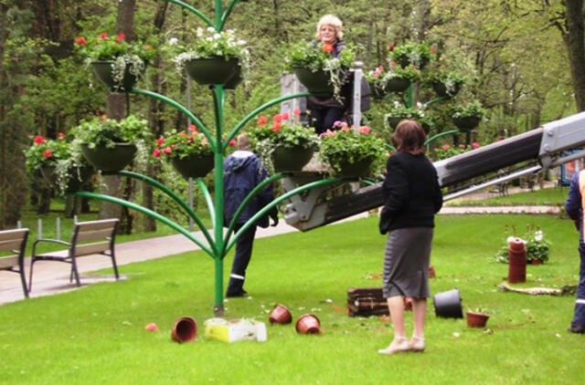 Svečių laukiančioje Palangoje – nauji gėlynai