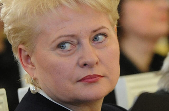 Dalia Grybauskaitė: Vyriausybė siūlo sprendimus, bet nesugeba jų realizuoti