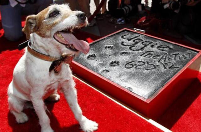 Holivude įamžintas filme "Artistas" vaidinęs šuo