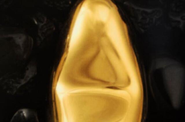 Iš sekso reikmenų parduotuvės Brazilijoje pavogtas paauksuotas vibratorius