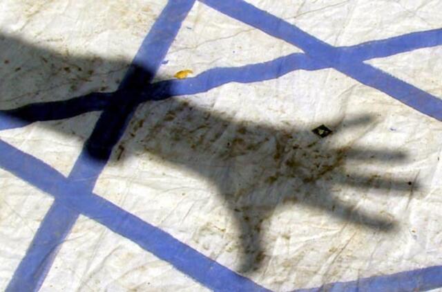 Kompiuterinį virusą "Flame" sukūrė JAV ir Izraelis, teigia "Washington Post"