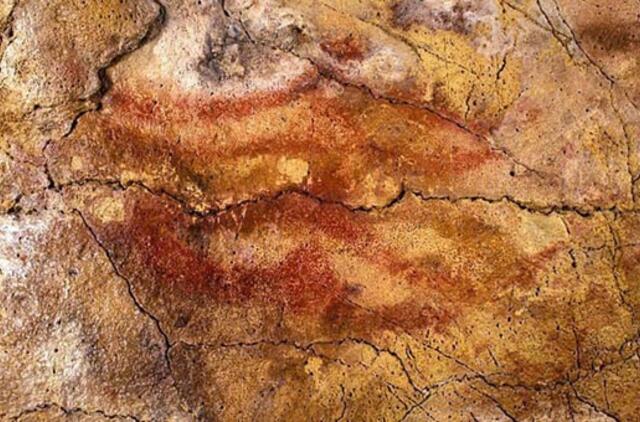 Mokslininkai nustatė seniausių Europos urvų piešinių amžių