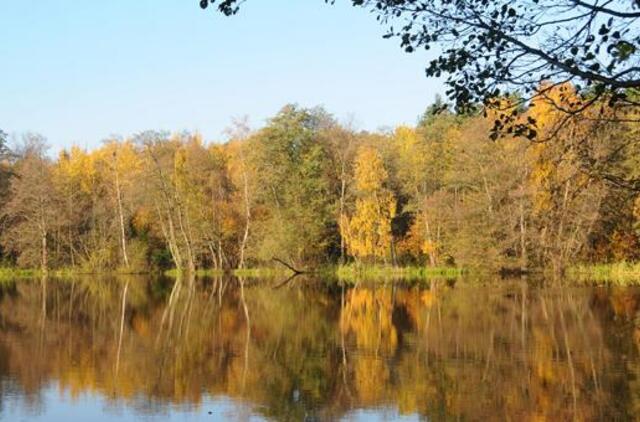 Molėtų rajone nuskendo žvejys