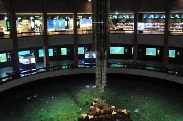 Muziejus klimpsta rekonstrukcijose