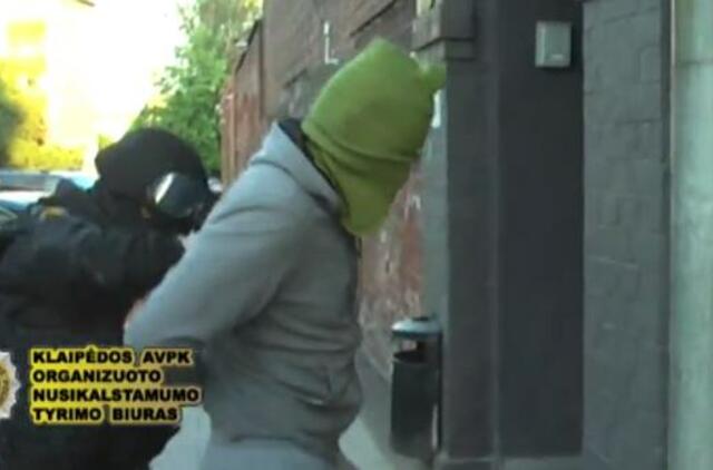 Sulaikyti kvaišalus platinę pusbroliai (video)