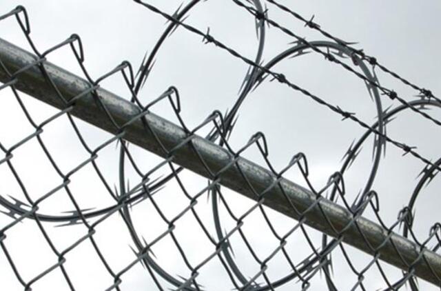 Dirba per ketvirtadalį kalinių, įdarbinti daugiau nėra sąlygų