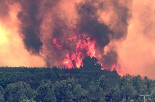 Gaisrai Ispanijoje sunaikino 2 000 hektarų miškų